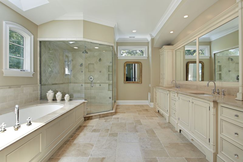 Elegant Shower Niche and Fixtures